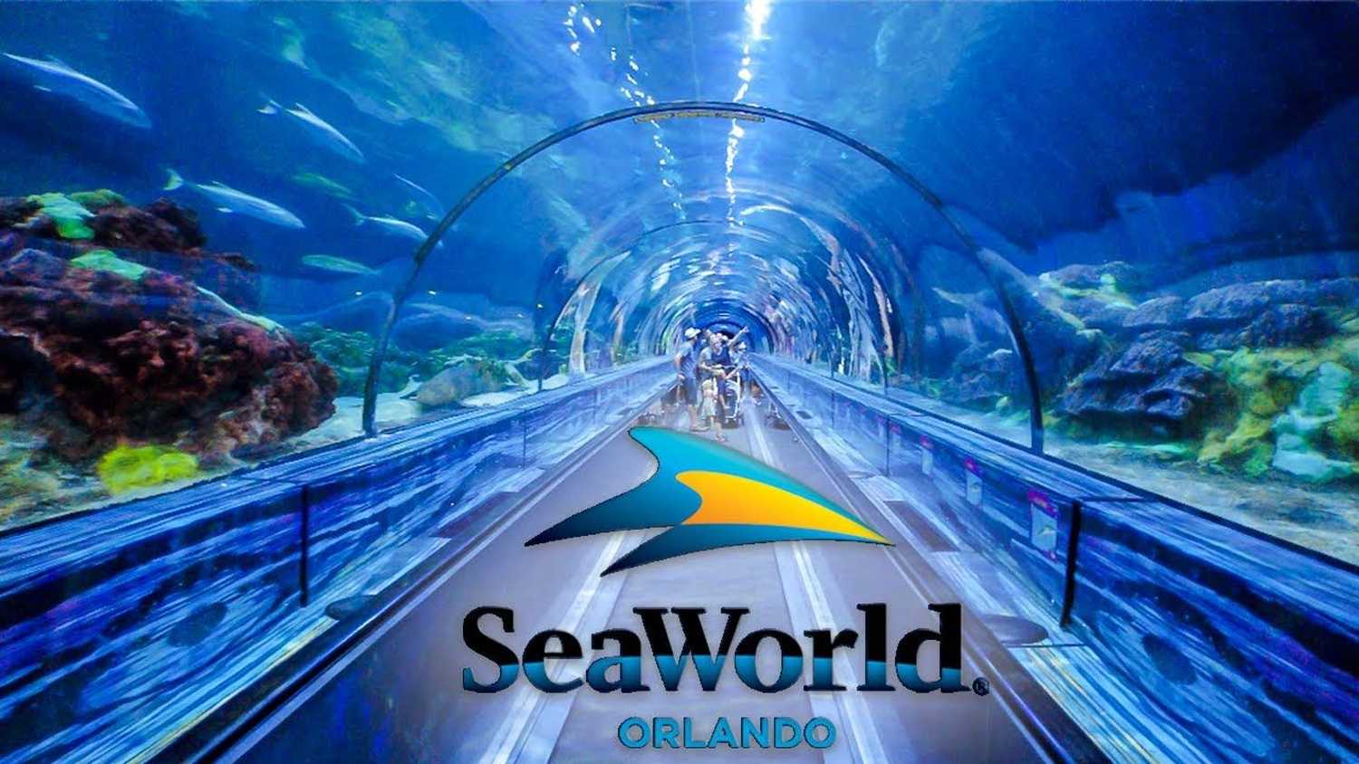 Best Things To Do in Orlando - SeaWorld - Orlando Spy